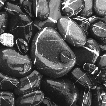 Pebbles in Black and White